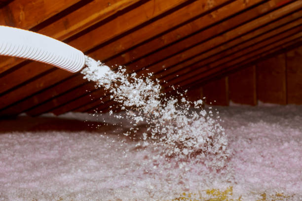 Best Specialized Insulation Services in Zeeland, MI