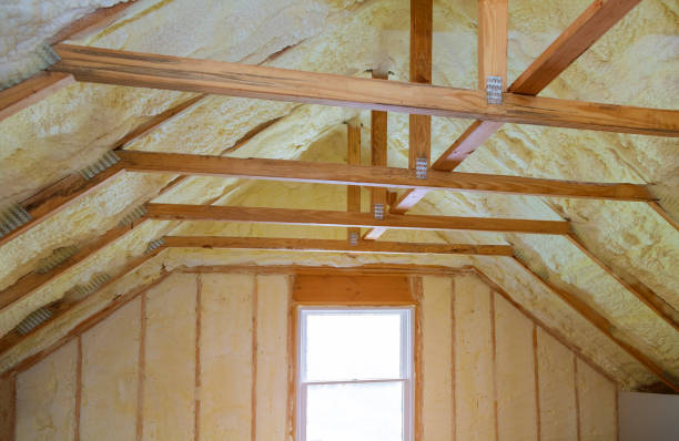 Best Commercial Insulation in Zeeland, MI