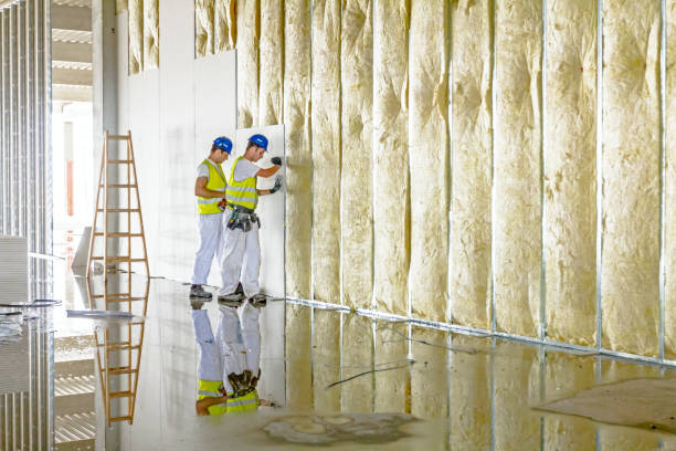 Types of Insulation We Offer in Zeeland, MI